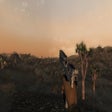 Icon of program: Fallout New Vegas Hit - 1…