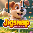 Ikon program: Jigsnap Collections