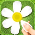 Daisy - Loves Me Not icon