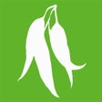 Ícone do programa: Macquarie Dictionary