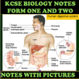 程序图标：Form 1 And 2 Biology Note…