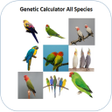 Ikon program: Genetic Calculator All Sp…