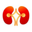 Icoon van programma: Stone MD: Kidney stones