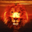 程序图标：photo blender - Blend Pic…