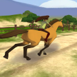 程序图标：Horse Ride Race