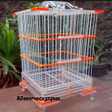 程序图标：Bird Cage Model