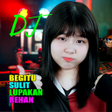 プログラムのアイコン：Dj Begitu syulit lupakan …