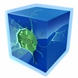Иконка программы: The Cheat