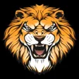 程序图标：Lion Coin Network Game