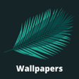 Ikona programu: beautiful wallpaper