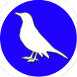 程序图标：Bird Identifier
