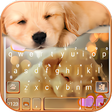 プログラムのアイコン：Dynamic Sleeping Puppy Ke…