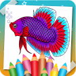 Betta Fish Coloring Book