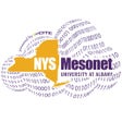 Ícone do programa: NYSMesonet