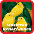 プログラムのアイコン：Masteran Kenari Juara