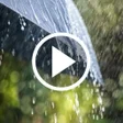 程序图标：Rain Video Live Wallpaper