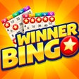 程序图标：Bingo Winner Jackpot