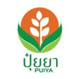 Иконка программы: ปยยา