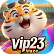 أيقونة البرنامج: vip23Maze