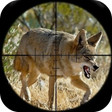 Programın simgesi: Coyote Hunting Calls