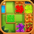 Ícone do programa: Fill Block: Farm Decor
