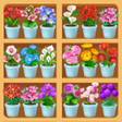 程序图标：Flower Shelf: Merge Mania