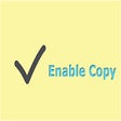 程序图标：Enable Copy