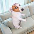 Programikonen: AR Sitting Dog: Funny Fil…