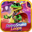 Ikon program: RetroSnake Loops