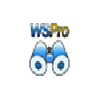 Symbol des Programms: Web Search Pro