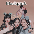 Icon of program: Blackpink Song Offline