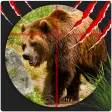 Wild Bear Hunter 3D