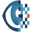Icon of program: Swiss Visio Desktop Captu…