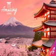 Icon of program: Amazing Japan