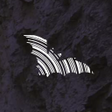 أيقونة البرنامج: BatLib - Bat calls