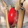 Programikonen: Don Bradman Cricket 17