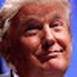 程序图标：Our Dearest Leader Trump