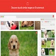 程序图标：Shutterstock Reveal