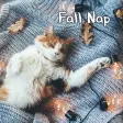 Fall Nap Theme