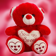 程序图标：Teddy Bear Wallpapers HD