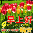Icon of program: Chinese Good Morning to N…