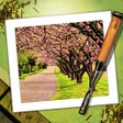 أيقونة البرنامج: Moku Hanga