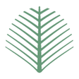 Icon of program: The Palms Beach Hotel  Sp…