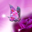 程序图标：Butterfly Animated Wallpa…
