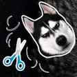 Ikon program: Trim The Dog