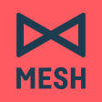 MESH: Biz Skills  Networking