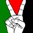 خلفيات فلسطين HD icon