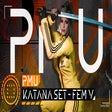 Icon of program: PMU - Katana Set - Fem V