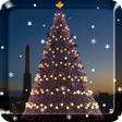 أيقونة البرنامج: Christmas Tree Live Wallp…