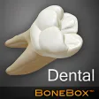 BoneBox - Dental Lite